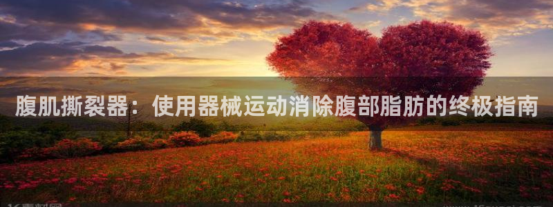 尊龙人生就是博电脑版：腹肌撕裂器：使用器械运动消除腹