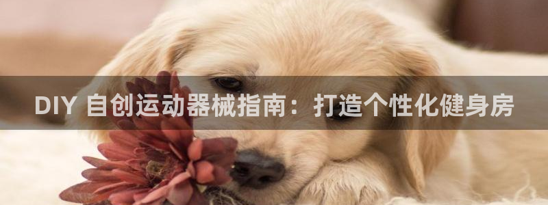 尊龙z6集团：DIY 自创运动器械指南：打造个性化健