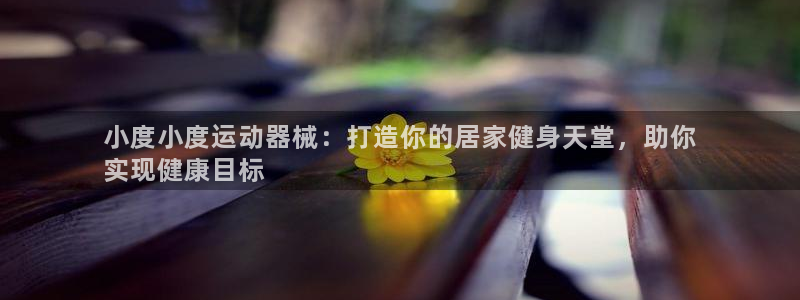 尊龙版末代皇帝：小度小度运动器械：打造你的居家健身天
