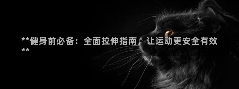尊龙网站登录：**健身前必备：全面拉伸指南，让运动更