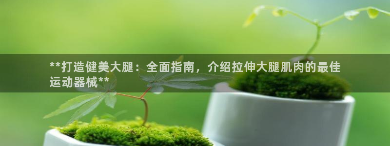 尊龙凯时电竞：**打造健美大腿：全面指南，介绍拉伸大