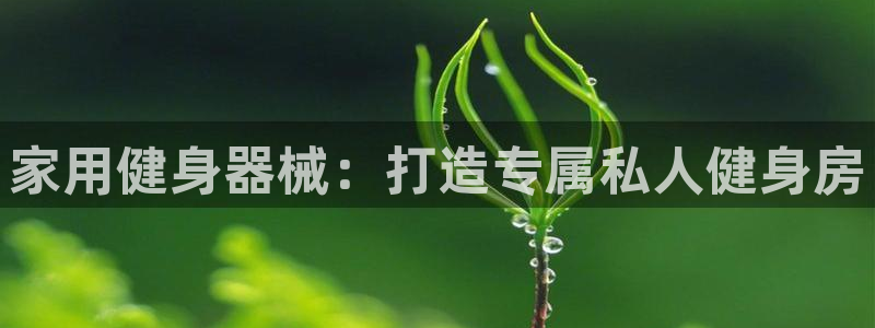 尊龙app怎么样：家用健身器械：打造专属私人健身房