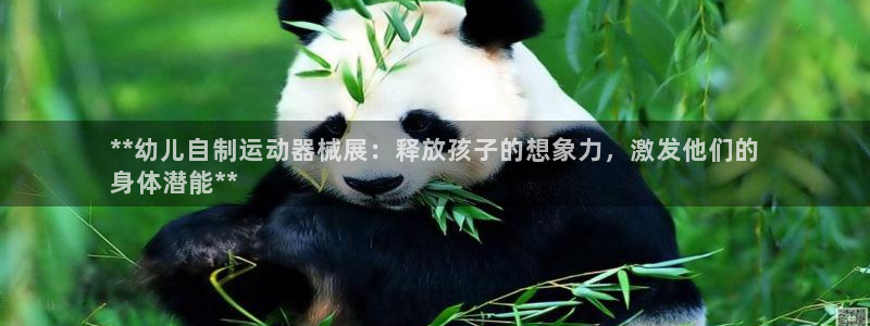 尊龙凯时-人生就是博中国官网最新：**幼儿自制运动器