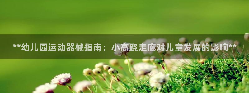 d88尊龙官网登录免费下载：**幼儿园运动器械指南：