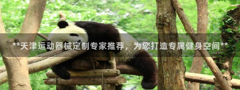 尊龙凯时官方网站下载：**天津运动器械定制专家推荐，