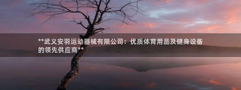 新版尊龙99：**武义安羽运动器械有限公司：优质体育