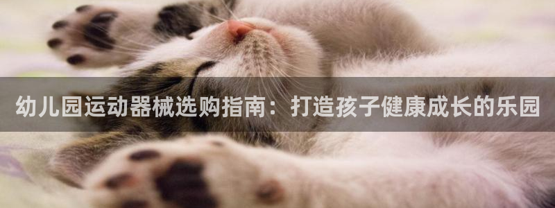 尊龙官网地址：幼儿园运动器械选购指南：打造孩子健康成