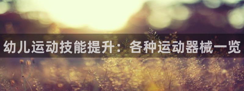 尊龙一人生就是博尊：幼儿运动技能提升：各种运动器械一