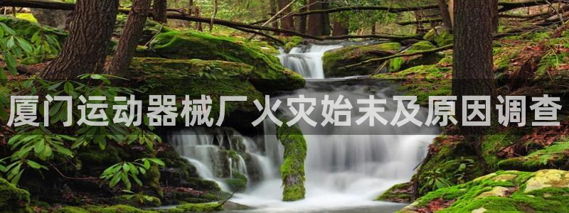 尊龙 5：厦门运动器械厂火灾始末及原因调查
