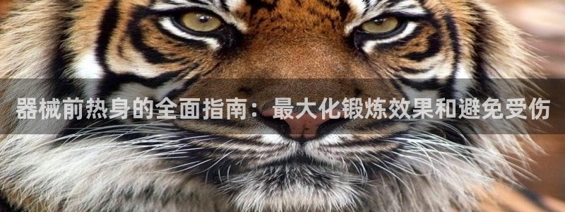 尊龙传奇英文怎么写：器械前热身的全面指南：最大化锻炼