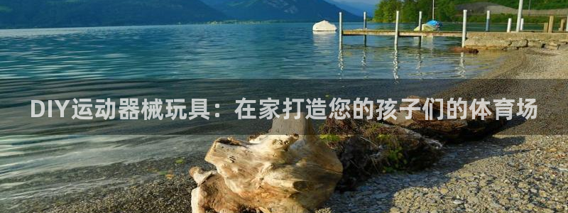 尊龙凯时网站首页手机登录：DIY运动器械玩具：在家打