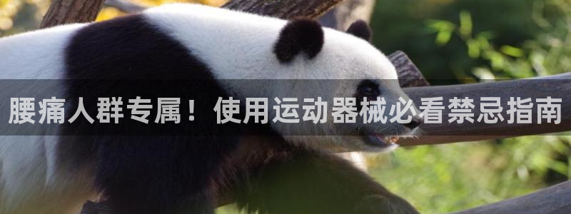 尊龙官方网站是真的吗：腰痛人群专属！使用运动器械必看