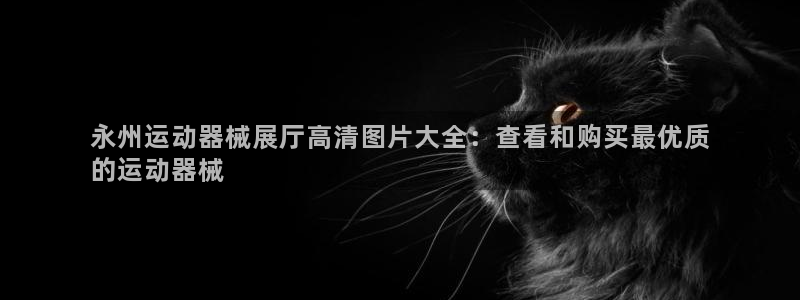 尊龙凯时ag旗舰厅官方网站：永州运动器械展厅高清图片