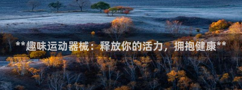 尊龙凯时的企业文化：**趣味运动器械：释放你的活力，