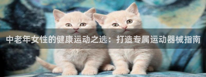尊龙凯时链接：中老年女性的健康运动之选：打造专属运动
