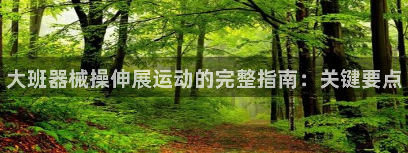 尊龙凯时网娱乐最新版：大班器械操伸展运动的完整指南：