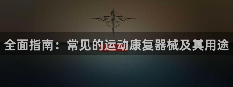 z6尊龙平台是哪里的：全面指南：常见的运动康复器械及