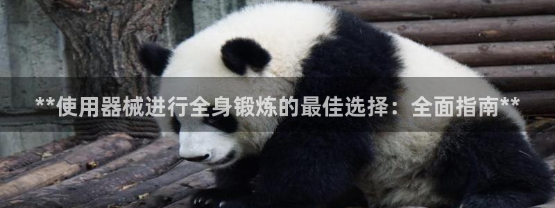 尊龙d88ag旗舰厅：**使用器械进行全身锻炼的最佳