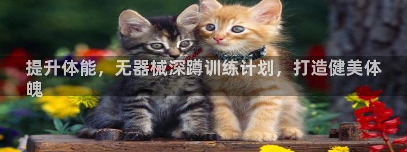 尊龙百度贴吧：提升体能，无器械深蹲训练计划，打造健美