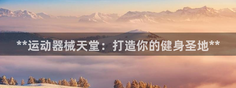 尊龙官网注册：**运动器械天堂：打造你的健身圣地**