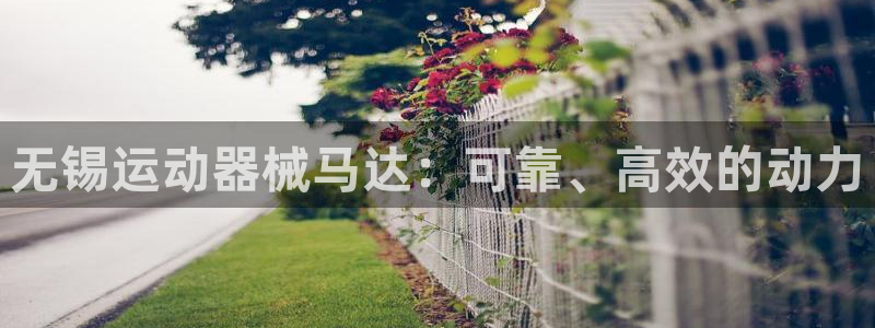 尊龙凯时请求参数不符合：无锡运动器械马达：可靠、高效