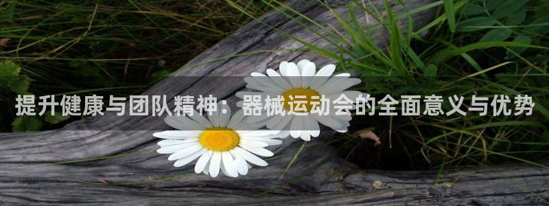 尊龙凯时官网网页版：提升健康与团队精神：器械运动会的