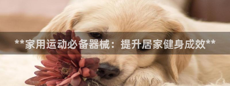 尊龙怎么没消息了：**家用运动必备器械：提升居家健身