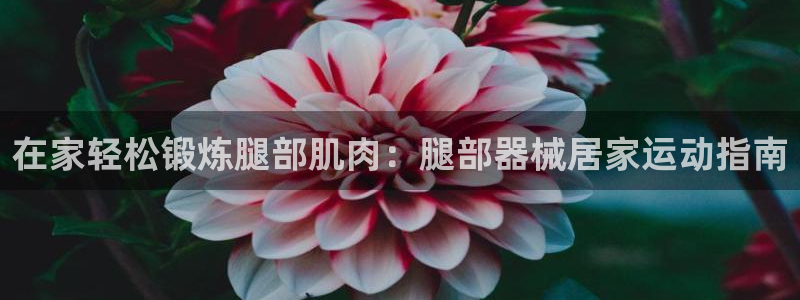 尊龙人生就是博登录