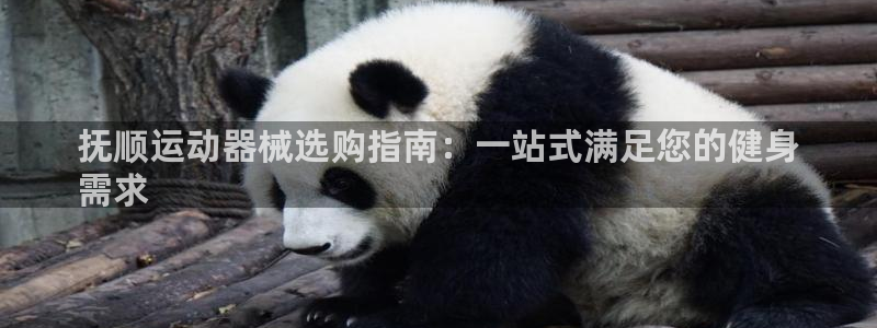 尊龙d88手机登录免费下载：抚顺运动器械选购指南：一