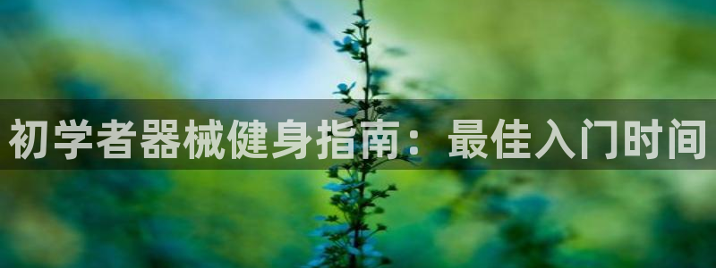 尊龙新版登录网址下载：初学者器械健身指南：最佳入门时