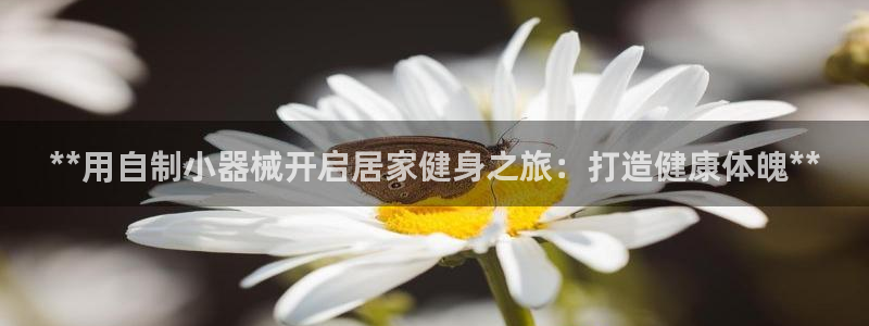 尊龙网站手机下载：**用自制小器械开启居家健身之旅：