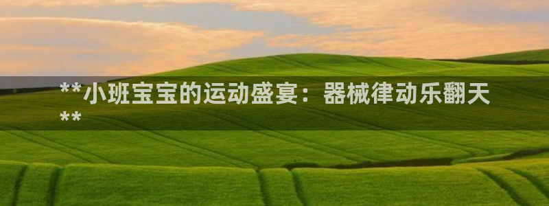 尊龙AG旗舰厅app下载：**小班宝宝的运动盛宴：器
