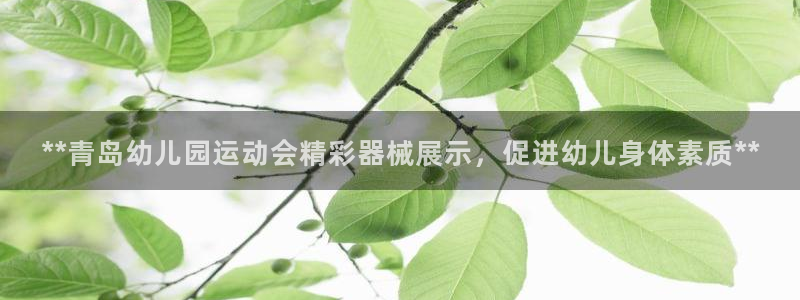 尊龙凯时链接：**青岛幼儿园运动会精彩器械展示，促进