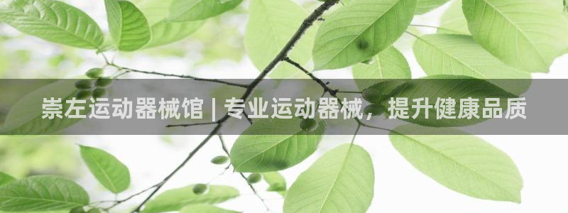 尊龙凯时平台正规吗：崇左运动器械馆 | 专业运动器械