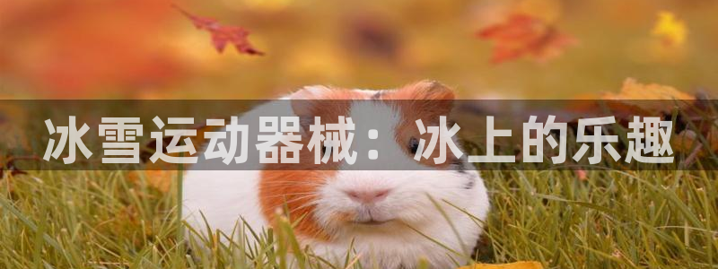 z6com尊龙凯时百家乐：冰雪运动器械：冰上的乐趣