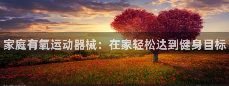 ag尊龙官方网站app：家庭有氧运动器械：在家轻松达