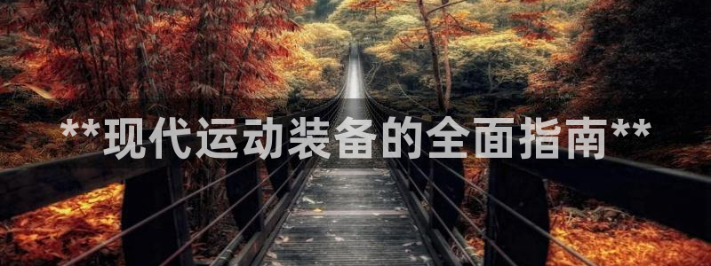 AG尊龙凯时注册：**现代运动装备的全面指南**