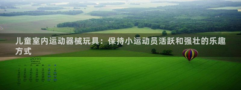 尊龙凯时链接：儿童室内运动器械玩具：保持小运动员活跃