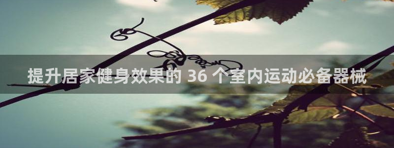 尊龙凯时人生就是搏技术实力：提升居家健身效果的 36