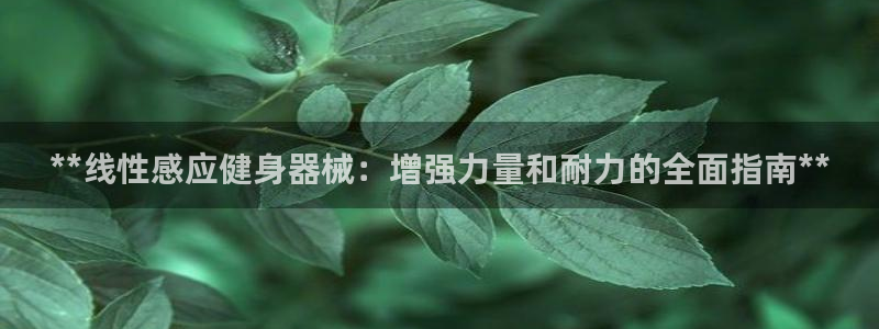 尊龙凯时能提现吗：**线性感应健身器械：增强力量和耐