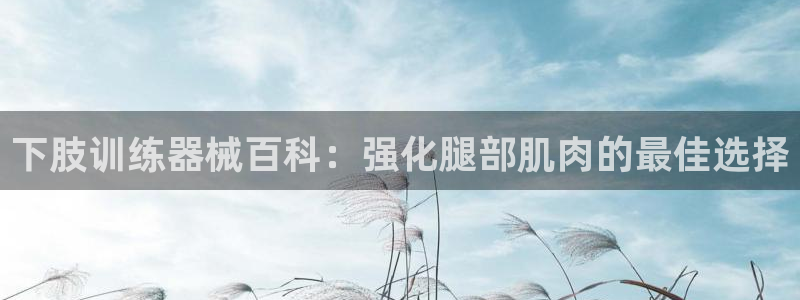 尊龙旗舰店：下肢训练器械百科：强化腿部肌肉的最佳选择