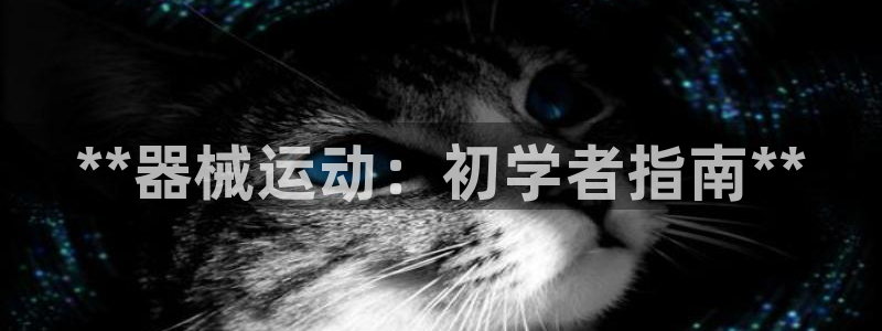 尊龙官方网站：**器械运动：初学者指南**
