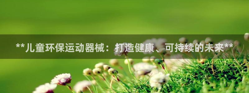 尊龙凯时有限公司：**儿童环保运动器械：打造健康、可