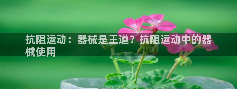 尊龙凯时人生就博：抗阻运动：器械是王道？抗阻运动中的器
械使