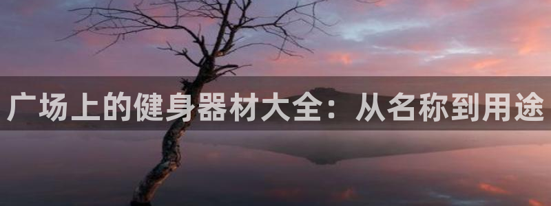 尊龙人生就是博D88