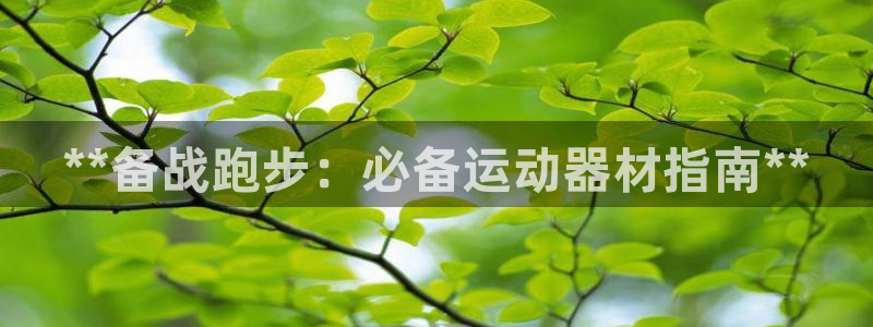 尊龙d88会员：**备战跑步：必备运动器材指南**