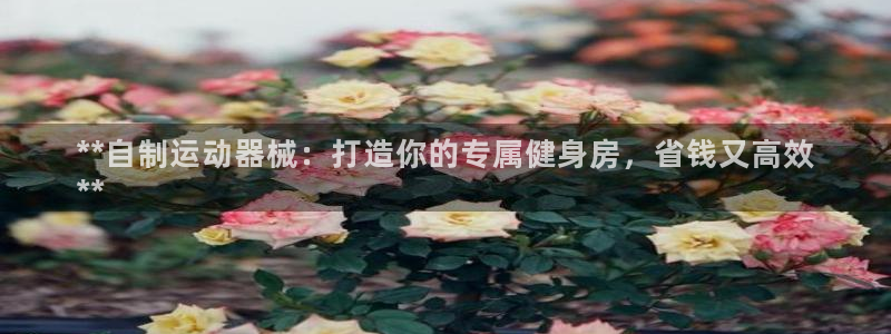尊龙d88官网QU来就送38：**自制运动器械：打造