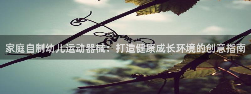 凯时官网手机版首页：家庭自制幼儿运动器械：打造健康成