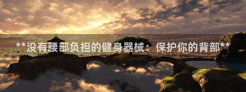 Z6尊龙官网入口：**没有腰部负担的健身器械：保护你