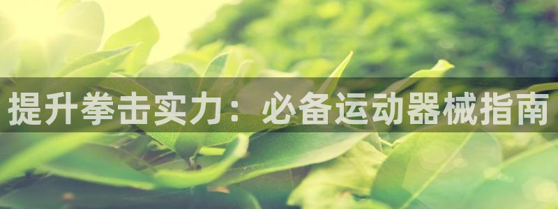 尊龙人生手机版都去ag发财网：提升拳击实力：必备运动
